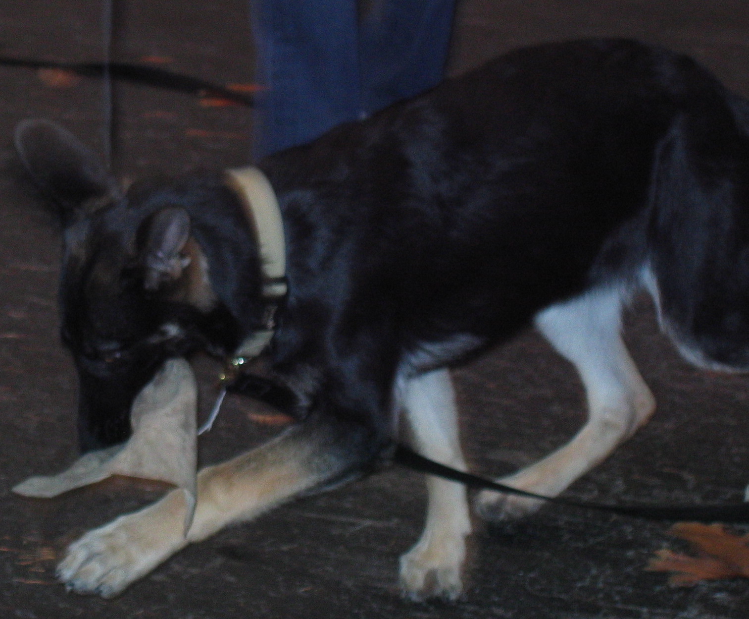 Hexi Playing - cropped